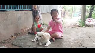 Hai em bé đáng yêu và Gấu