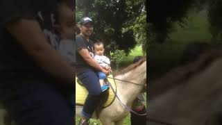 Download lagu Berkuda di kebun raya cibodas mp3 Download lagu Berkuda di kebun raya cibodas mp3