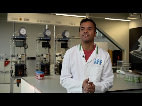 Explaining IFF’s Designed Enzymatic Biomaterials