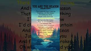 Download lagu Calum Scott - You Are The Reason (Lyrics) #shorts mp3