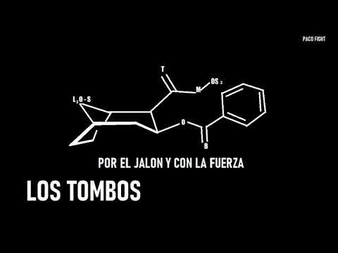 LOS TOMBOS - PACO FIGHT