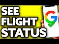 How To See Flight Status on Google (Very EASY!)