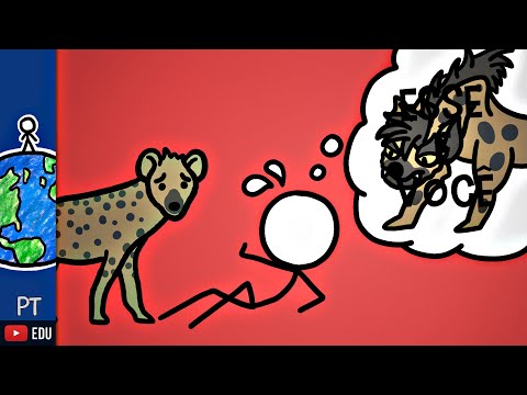 Por que não gostamos de hienas? | Minuto da Terra