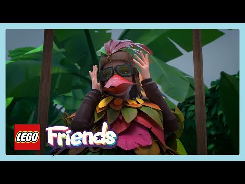 Die Vogelfrau | LEGO Friends | Cartoons für Kinder | WildBrain-Rettungsstation