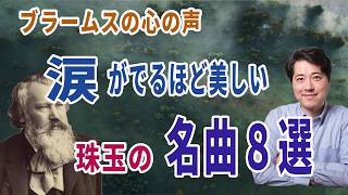 【名曲紹介】ブラームスの涙がでるほど美しい珠玉の名曲を紹介!!