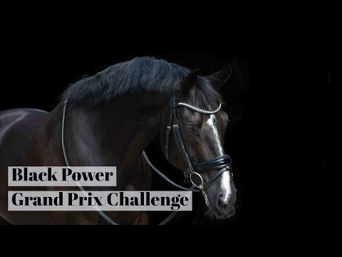 Black Power Grand Prix Challenge || Sijtsma Dressage ||