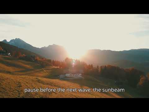 🌿 The Beauty of Nature – A Priceless Gift 🌿