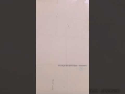 Goyang Anjing Bakado