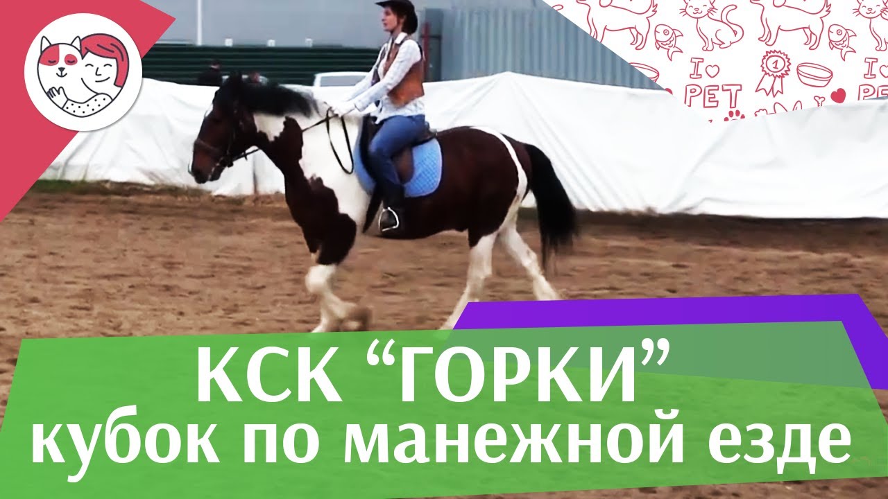 Летний кубок КСК Горки по манежной езде КЮР часть 22 на ilikepet