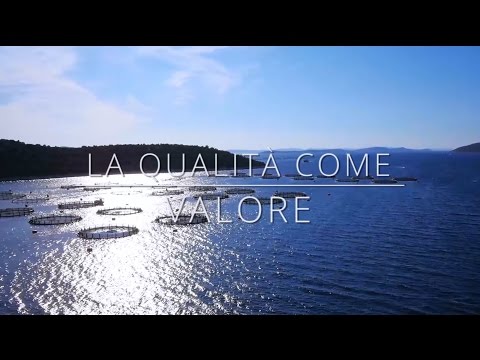 CROMARIS - La qualità come valore
