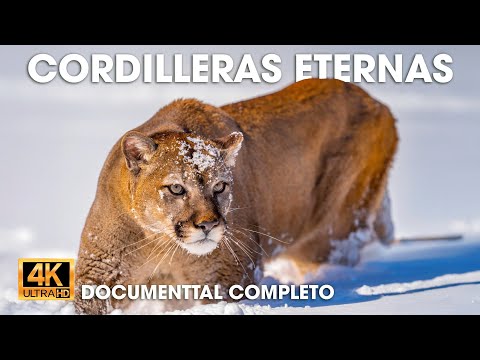 🔴CORDILLERAS ETERNAS - Supervivencia Extrema entre los Andes y el Himalaya #documentales