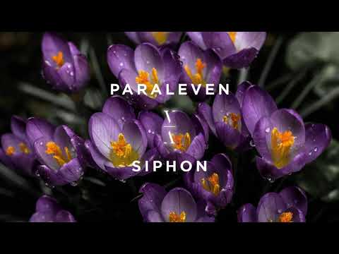 Paraleven - Siphon
