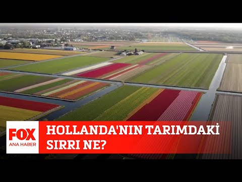 , title : 'Hollanda'nın tarımdaki sırrı ne? 27 Aralık 2021 Selçuk Tepeli ile FOX Ana Haber'