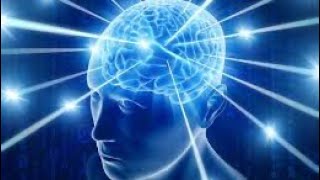 Cover art for brain meme