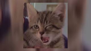 Download lagu sunday best - surfaces {sped up   pitched} mp3