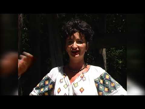 Fanelija Ilin i Slobodan Domaćinović - Ku najka pre valja mare