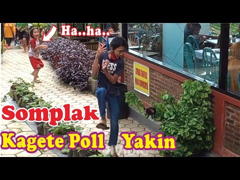 grojogan-ratu-bushman-prank