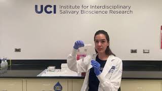 Adult Swab Saliva Collection Tutorial