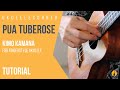 Pua Tuberose for Fingerstyle Ukulele Tutorial