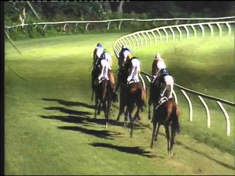 Galoppo 19/08/2015 - 3° corsa