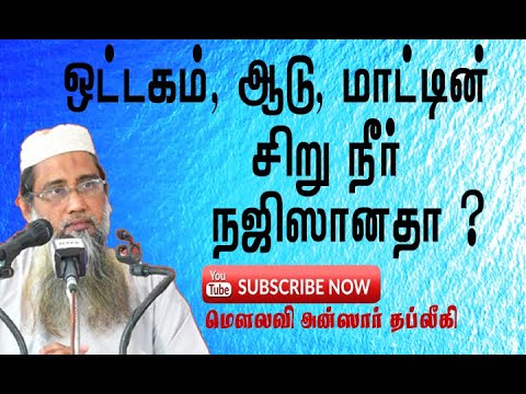 ஒட்டகம் ,ஆடு,மாட்டின் சிறுநீர் நஜிஸானதா?