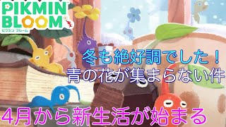 【ピクミンブルーム】復刻多いな！コンプリートしてみせる！4月からは不安です…【2025冬Ver】
