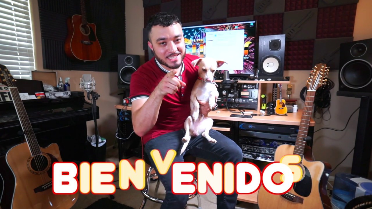 Ibanez AW5412CE vs Takamine EF381SC