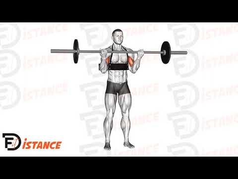 Exercice Curl biceps avec barre droite (avec arm blaster)