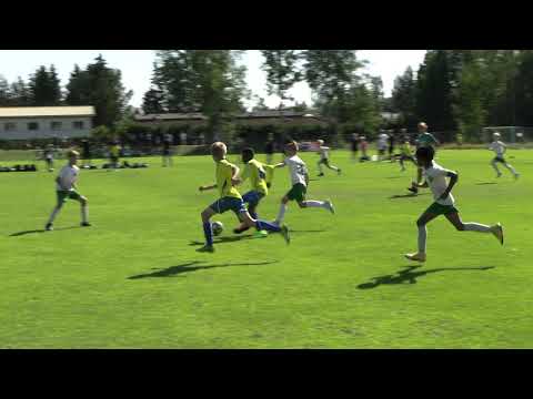 Gnistan P10/Keltainen 1 - LePa/Musta