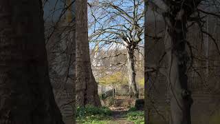 🇬🇧バッキンガム宮殿前でブランコ #イギリス #ロンドン #バッキンガム宮殿