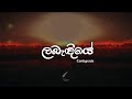Man Mulawee Labadiye Centigradz Lyrics Video