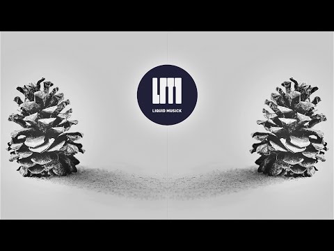 Screamarts x Halflow - Memories