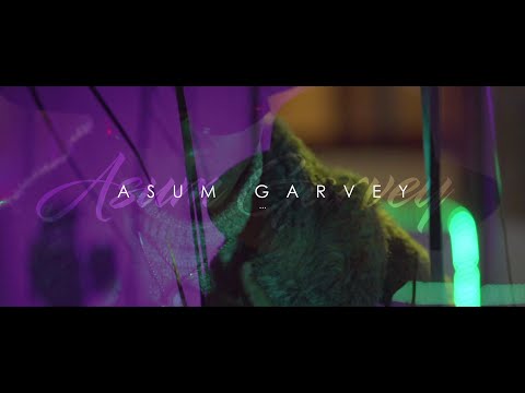 ASUM GARVEY - PIGA 10 (Official Music Video)