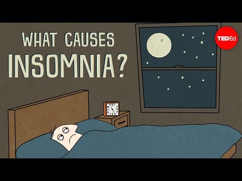 What causes insomnia? - Dan Kwartler