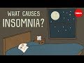 What causes insomnia? - Dan Kwartler