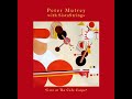 Peter Mulvey & SistaStrings: You Are the Only One