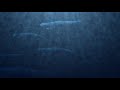 David Arkenstone - Oceanus: from Myths and Legends 2007