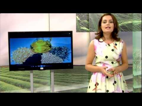 Mereu in Forma editia 11 - partea 2