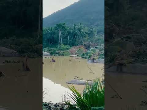 විපතක තරම... #flood #PrayForSriLanka #southernprovince #galle See less #studioroomaya