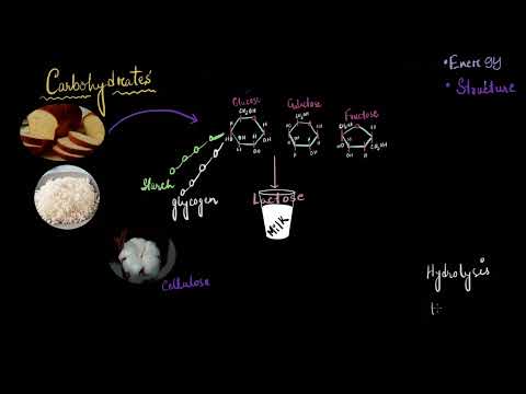 Introduction to biomolecules | Biomolecules | Biology | Khan Academy