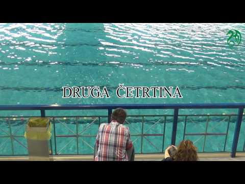 DP U-15 VKL Slovan - AVK Branik