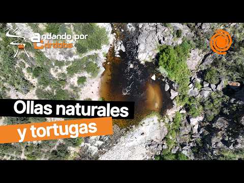 Andando por Córdoba | Reserva Tres Piletas, un lugar único para nadar con tortugas en el río Quilpo