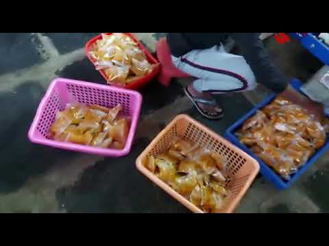 Onion Raita, Sambar, Kootu Other Food Packing Machine