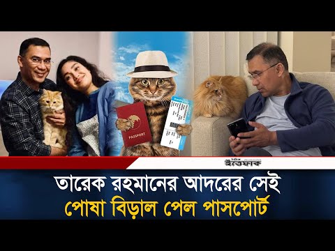 তারেক রহমানের আদরের সেই পোষা বিড়াল পেল পাসপোর্ট | Tarique Rahman | Cat Passport | Ittefaq News