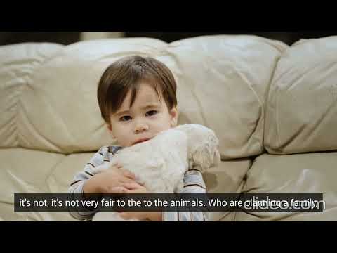 Are you making these common pet care mistakes? Watch the FULL VIDEO NOW!