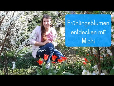 Frühblüher entdecken mit Michi