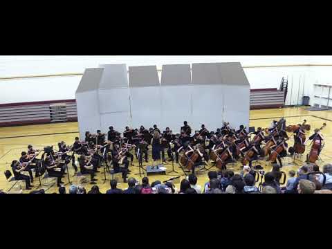 NINJA by Richard Meyer - Pacific Cascade Middle School Intermediate Orchestra