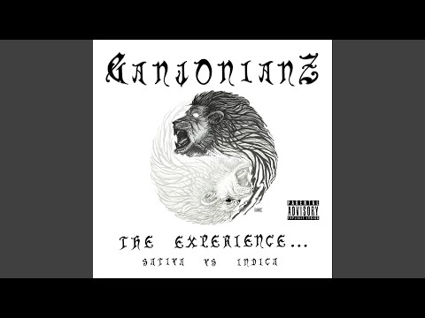 Dark Knights (feat. DY-VRZ, Respect Tha God, D.WAYZ & Vyzhn)