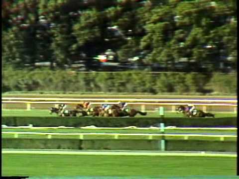 John Henry - Turf Classic (G1) - Belmont Park - 9/22/1984