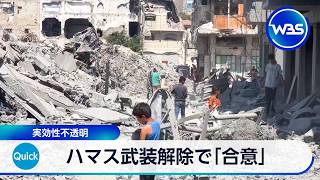 ガザ地区 ハマス武装解除に向け「合意」とトランプ氏 実効性は不透明【WBS】